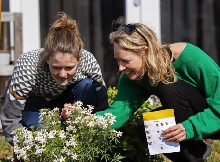 Vrijwilliger geeft tuinadvies aan bewoners om particuliere tuinen groener en diervriendelijker te maken.