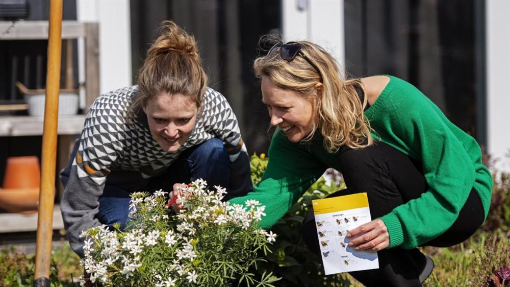 Vrijwilliger geeft tuinadvies aan bewoners om particuliere tuinen groener en diervriendelijker te maken.