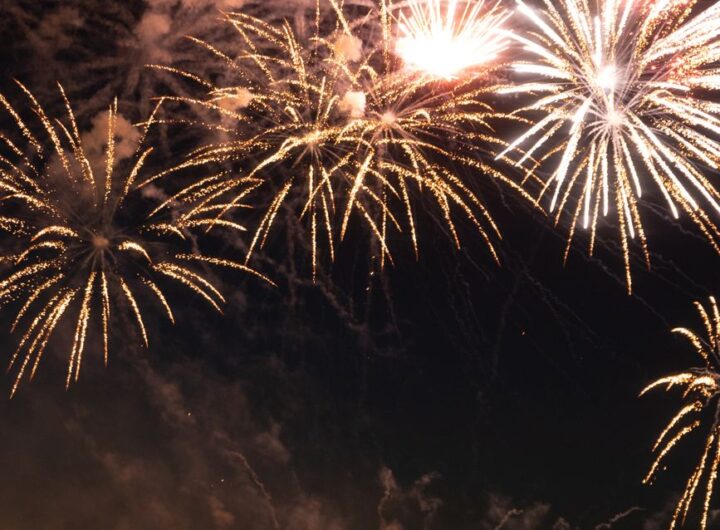 fireworks in the night sky over a forest