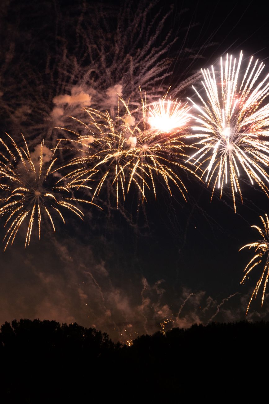 fireworks in the night sky over a forest