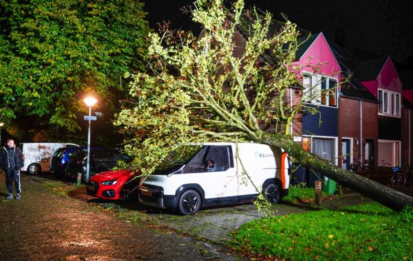 Omgewaaide boom ligt op een elektrische bestelbus en een personenauto aan de Klaproos in Zwaag tijdens storm Boelo.