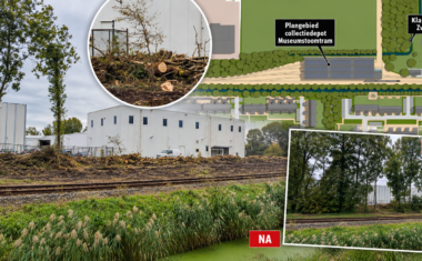 Gekapte bomen nabij de Klagers­tuin in Zwaag waar een collectiedepot voor de Museumstoomtram is gepland en Hart van Hoorn vragen stelt over het verdwijnen van groen.