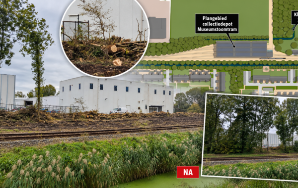 Gekapte bomen nabij de Klagers­tuin in Zwaag waar een collectiedepot voor de Museumstoomtram is gepland en Hart van Hoorn vragen stelt over het verdwijnen van groen.