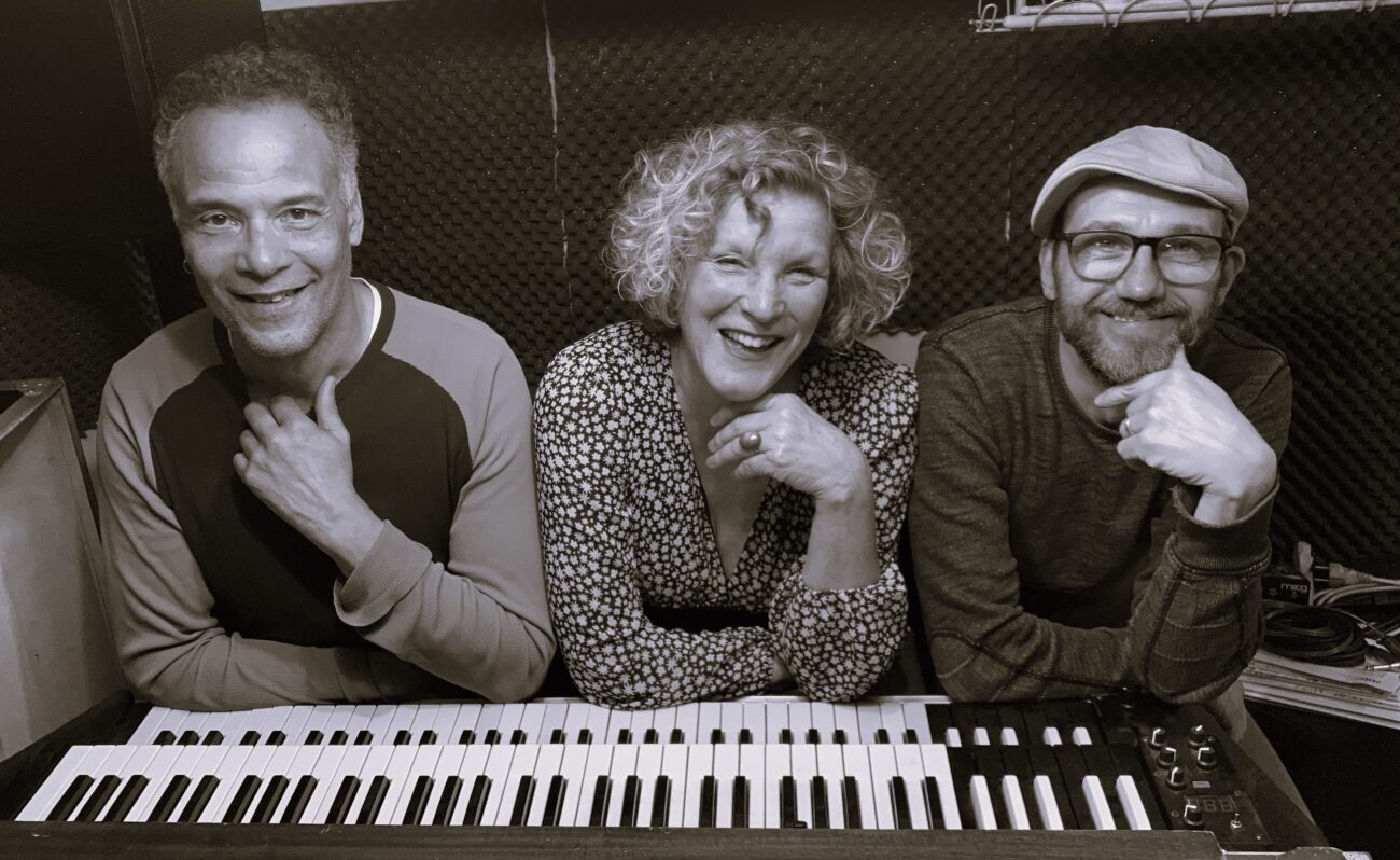 Muziektrio SKIN met Yvonne Mandigers, Elvis Sergo en Dirkjan de Koning speelt in Theater Het Pakhuis in Hoorn.